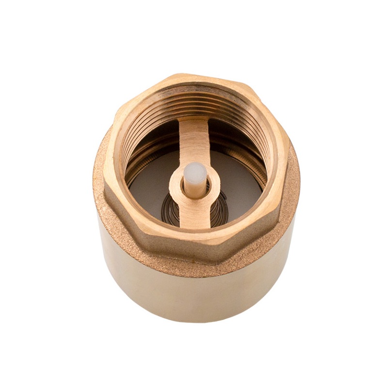 Spätná klapka s plastovou záklopkou 6/4"